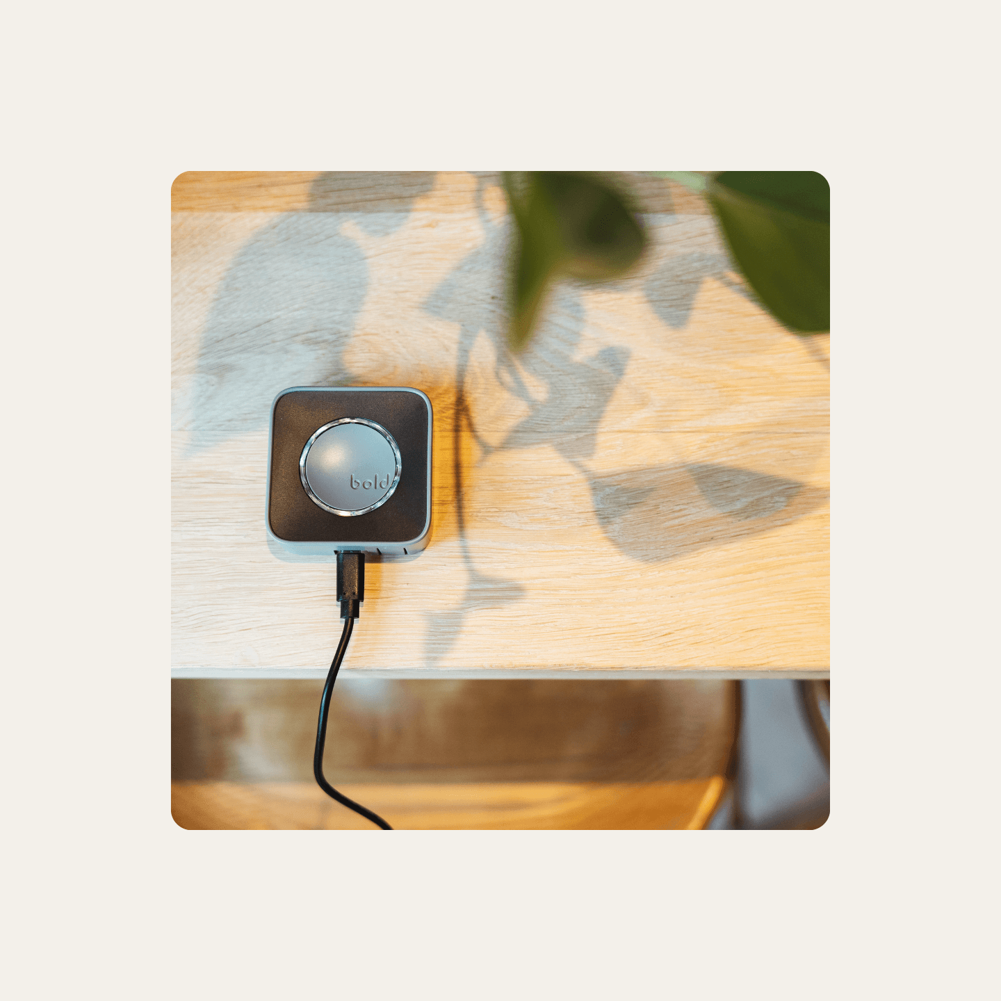 https://media.boldsmartlock.com/medusa/Bold Connect Image 3-1770209768593.png